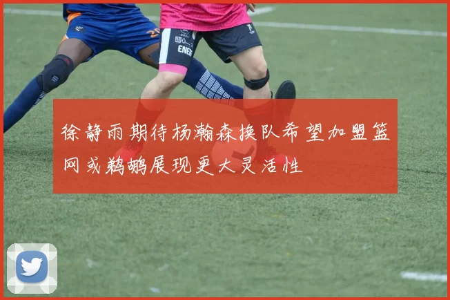 徐静雨期待杨瀚森换队希望加盟篮网或鹈鹕展现更大灵活性