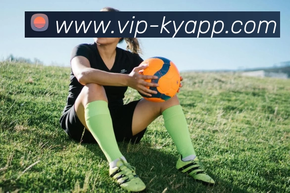 开云体育APP 体育赛事宣传图